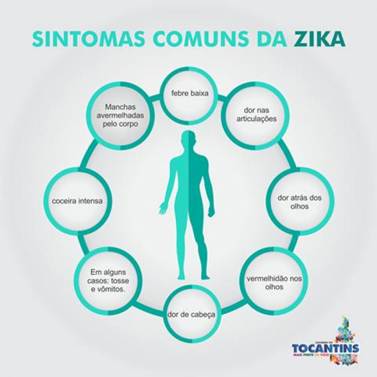 Zika causa problemas motores e de memória em adultos