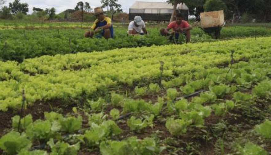 Seagro monta estrutura especial para os agricultores familiares na 12ª