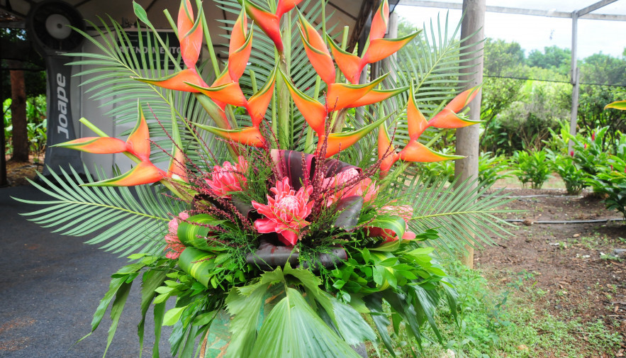 Estande de Flores Tropicais expõe novas técnicas em arranjos florais na  Agrotins 2016