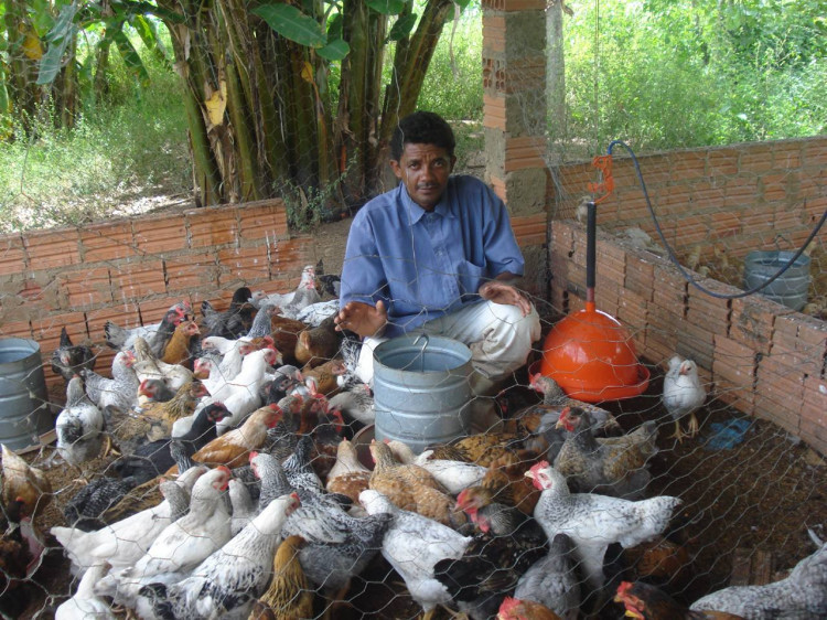 Criação de pequenos animais garante renda de produtor