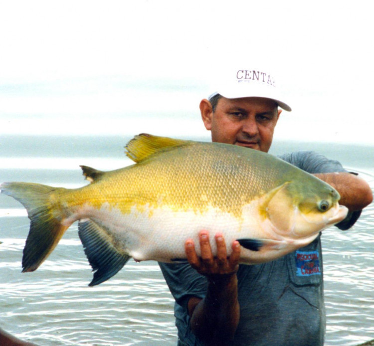 O Tocantins possui um dos melhores climas do Brasil para criação de peixes tropicais