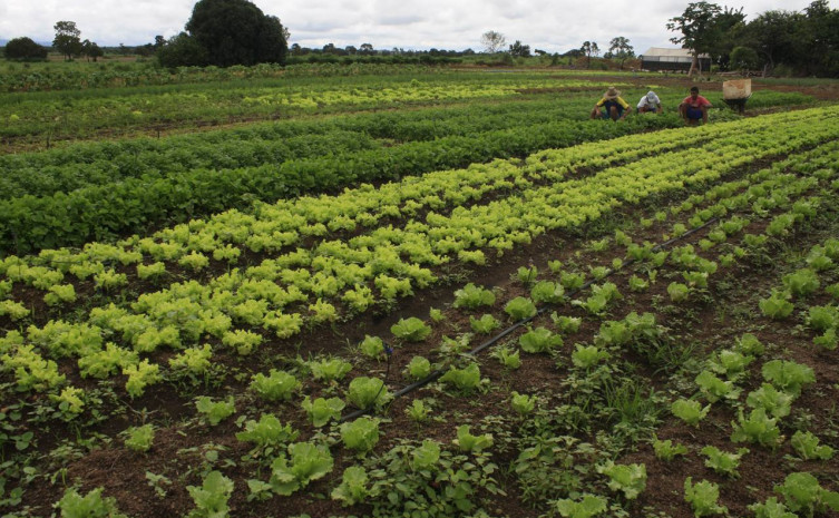 Os produtores terão mais autonomia para gerir e reivindicar os benefícios para o projeto