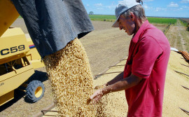 Tocantins registra superávit de 13% em exportações