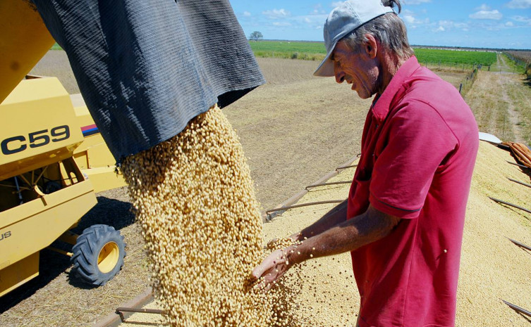 Soja (7)_Kleiber Arantes.jpg