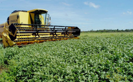 Agronegócio para exportação é discutido em Araguaína 