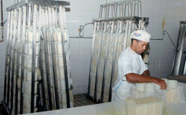 Incentivos fiscais promovem aquecimento da economia 