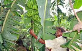 Cadastro ambiental rural levanta dados sobre as propriedades 