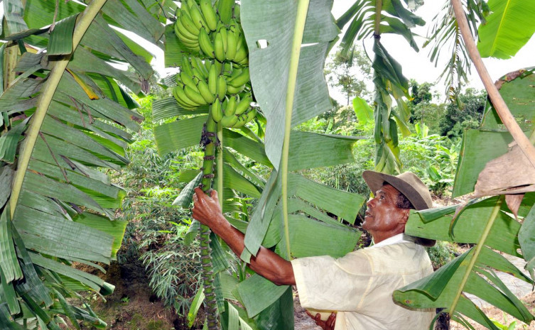 Atualmente, nove mil produtores do Estado já estão inscritos no CAR
