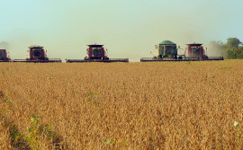 Produção de grãos no Estado é destaque na economia regional