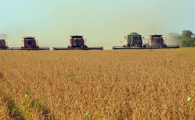 A região campeã na produção de grãos compreende os municípios do centro e sudeste do Estado