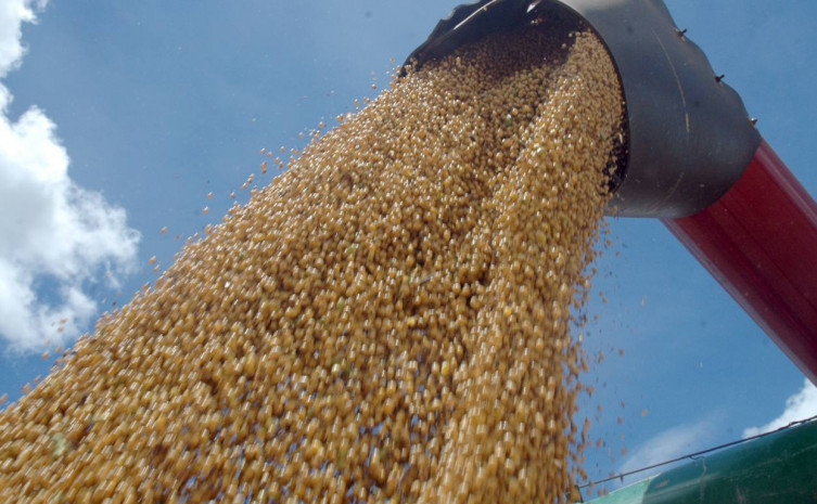 O objetivo é levantar as particularidades dos cultivos e também as demandas existentes em cada região produtora