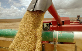 Produção da soja tocantinense conquista novo marco e chega a dois milhões de toneladas