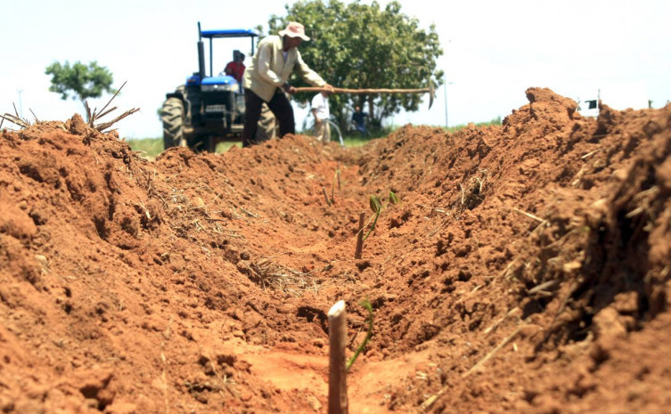 Uso do fogo diminui a fertilidade do solo