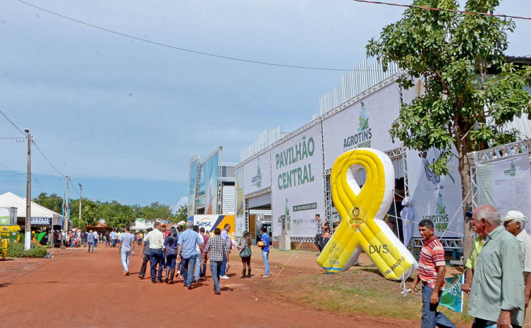 Campanha Maio Amarelo visa chamar a atenção para os altos índices de mortos e feridos no trânsito