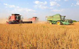 Tocantins se mostra alternativa promissora para investidores