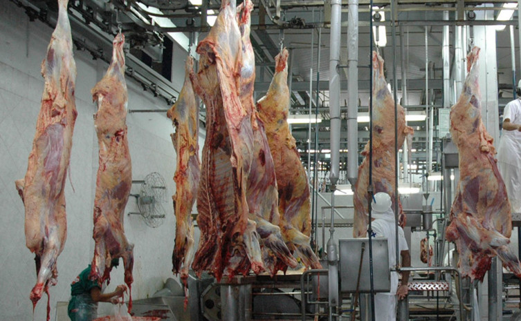  O Estado já exporta carne para vários países, como: Rússia, Egito, China, Irã, Iraque, Argélia, Emirados Árabes, Líbia e Venezuela