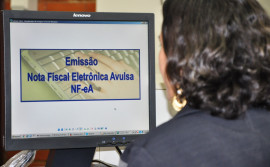 Produtor rural pessoa física pode emitir nota fiscal avulsa pela internet
