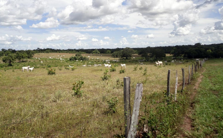 A retificação de área de um imóvel é um procedimento que permite a correção de seu registro ou averbação