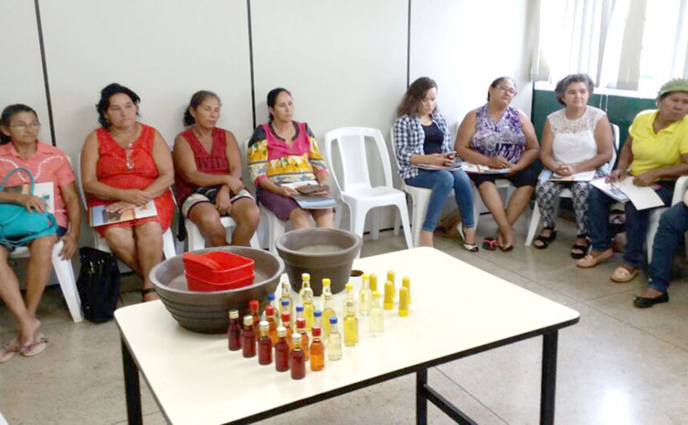 Reunião com as mulheres extrativistas dos municípios de Pium, Caseara, Araguacema, Divinópolis, Marianópolis e Paraíso do Tocantins