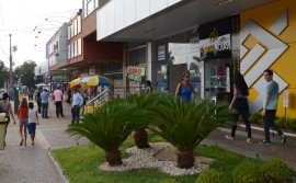 Tocantins ocupa 5ª colocação em saldo positivo de emprego