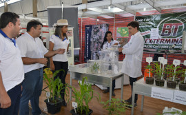 Pesquisadores lançam bioinseticida para combater lagarta da soja