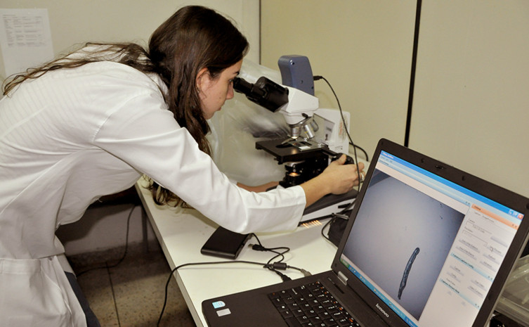 Objetivo é financiar projetos de pesquisa que promovam a melhoria da qualidade da atenção à saúde no Estado do Tocantins, no contexto do Sistema Único de Saúde