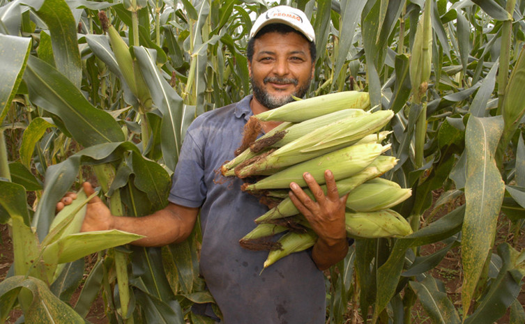 Um agricultor, buscando o aumento da produtivid