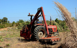 Governo realiza serviço de roçagem na Quadra Arso 92