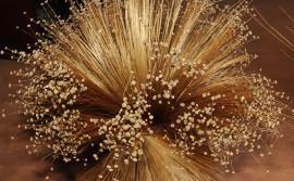 Festa da Colheita do Capim Dourado inicia nesta sexta-feira 