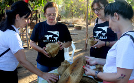 Associação de lojistas de artesanato realiza expedição em busca de peças produzidas no Jalapão