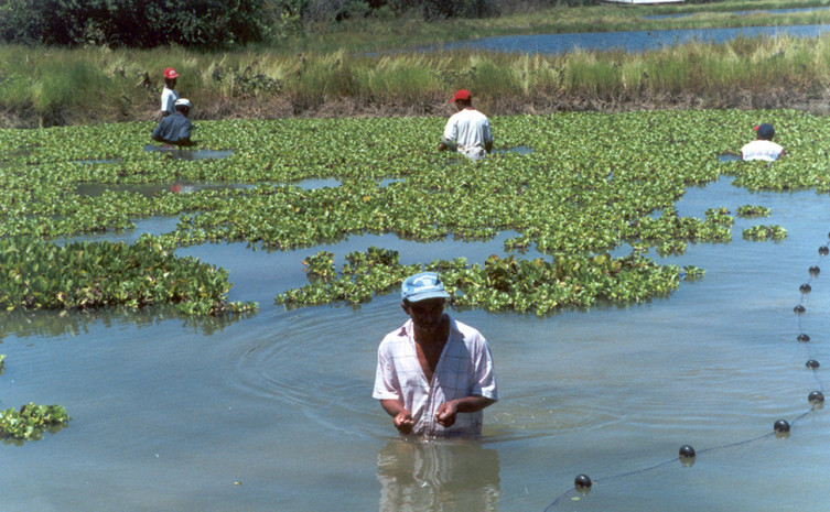 O evento reúne piscicultores, representes de empresas da cadeia produtiva da piscicultura e investidores que pretendem iniciar a atividade de produção de peixe