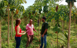 Ruraltins avalia atividades de assistência técnica e extensão rural
