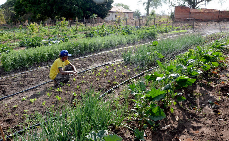 Até julho, R$ 6,5 milhões serão investidos para a produção agroecológica na agricultura familiar no Tocantins