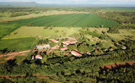 Agroalmas 2018 apresenta novidades nas áreas de piscicultura e bovinocultura
