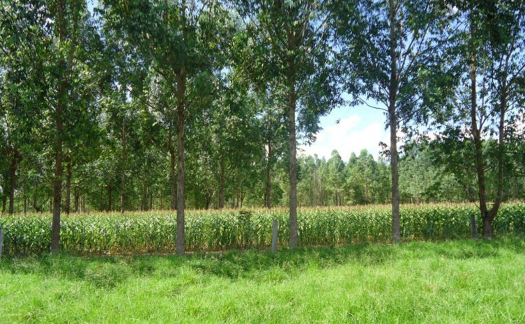 395425_1000.jpg