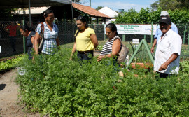 Ruraltins promove ciclo de palestras com foco na área produtiva 