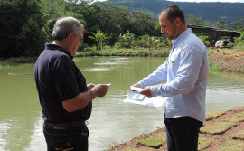 Ruraltins apresenta os primeiros resultados do censo da piscicultura