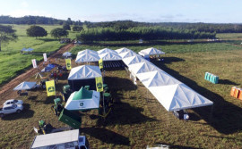 Agroalmas 2018 tem início nesta sexta-feira 