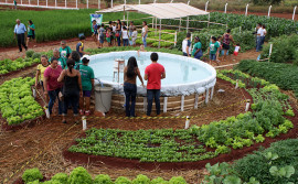 11ª Feira de Alimentação e Agricultura Familiar de Palmeiras do Tocantins começa nesta quinta
