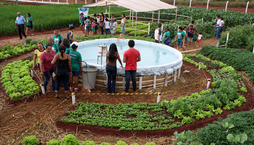 Prefeitura instala horta comunitária na Fundação Casa – Prefeitura