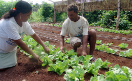 Ruraltins participa do 1º Seminário da Agricultura Familiar de Barrolândia