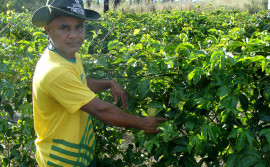 Ruraltins inicia projeto de fortalecimento das unidades agrícolas em Lagoa da Confusão