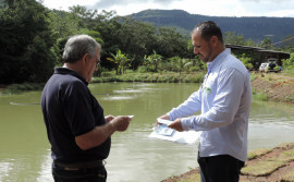Piscicultura movimenta R$ 9,5 milhões na região sul do Tocantins