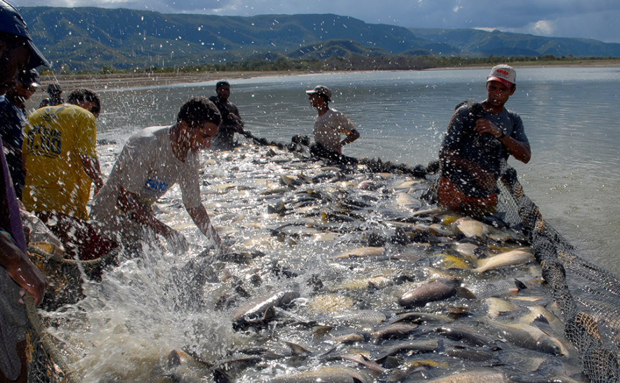 Desenvolvimento sustentável da piscicultura e pesca esportiva é tema de palestra nesta quinta-feira, na Expopalmas