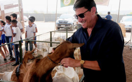 Agricultura oportuniza discussão sobre caprinocultura do leite em palestras na Expopalmas