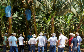 Projeto Manoel Alves recebe visita técnica e vistoria de obras