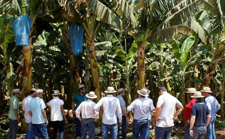 Serão investidos R$ 22 milhões em obras complementares à infraestrutura e aquisição de novos equipamentos de irrigação