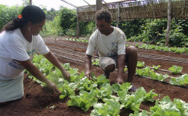 Ruraltins inicia ações do Programa de Aquisição de Alimentos no Tocantins