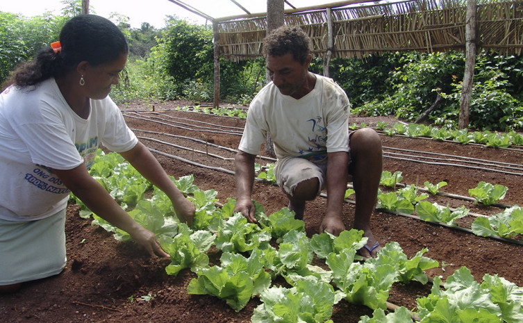 Ruraltins inicia ações do Programa de Aquisição de Alimentos no Tocantins