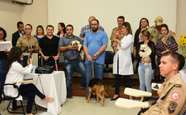Projeto Cinoterapia completa um ano de atendimento na Capital